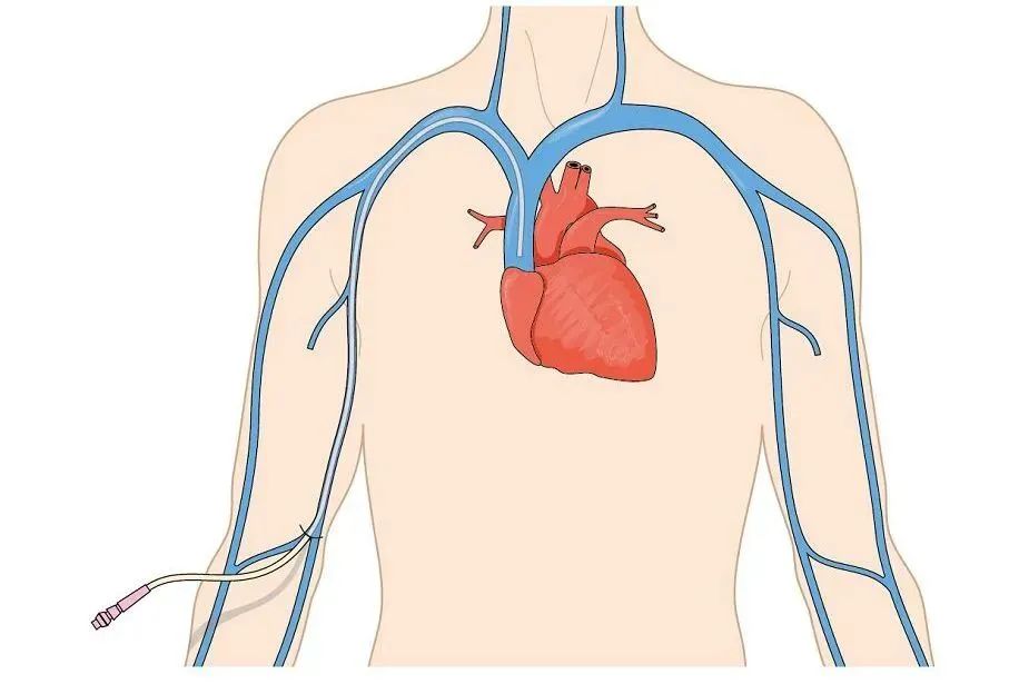 微信圖片_20230412080800.jpg 微信圖片_20230412080800.jpg